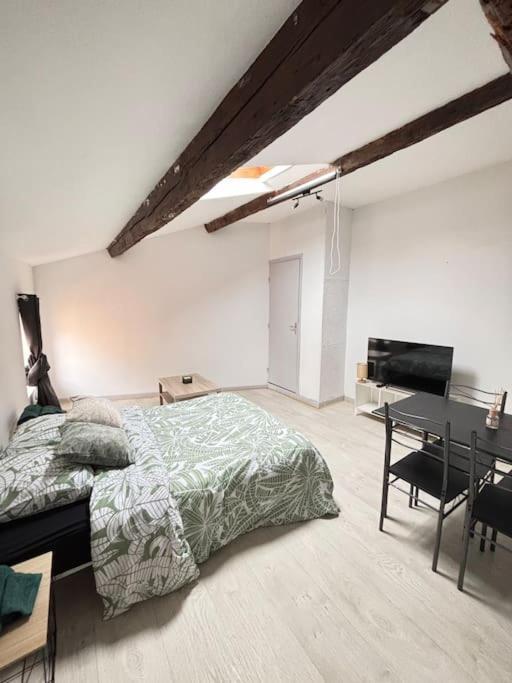 Studio Confortable Annonay Bagian luar foto