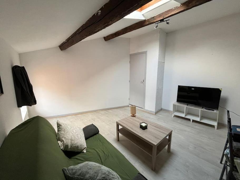Studio Confortable Annonay Bagian luar foto