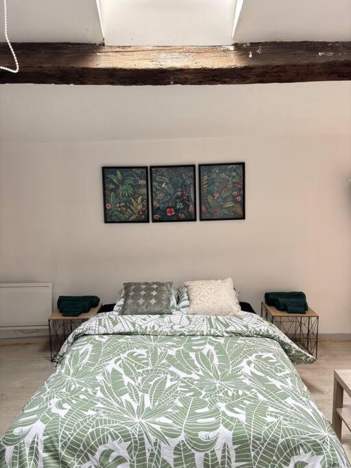 Studio Confortable Annonay Bagian luar foto